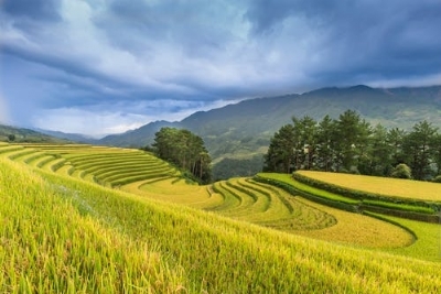 SAPA 